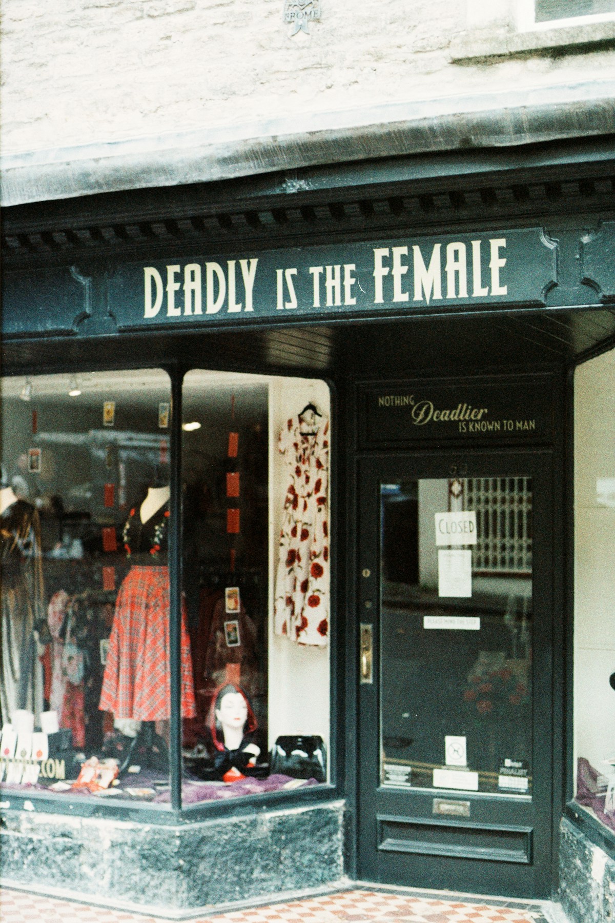 Phyllis & Mimosa - Retail & Fashion on Darby Street, Cooks Hill
